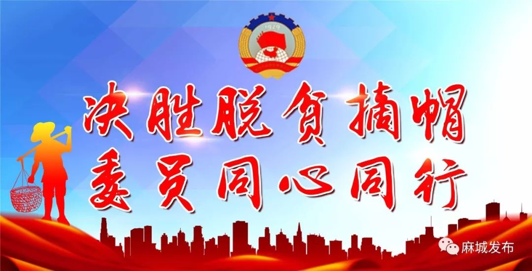 蘑蘑大农业